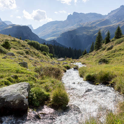 Bergbach bei der Alp Flix