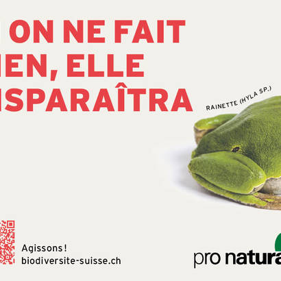 Annonces bouchons biodiversité