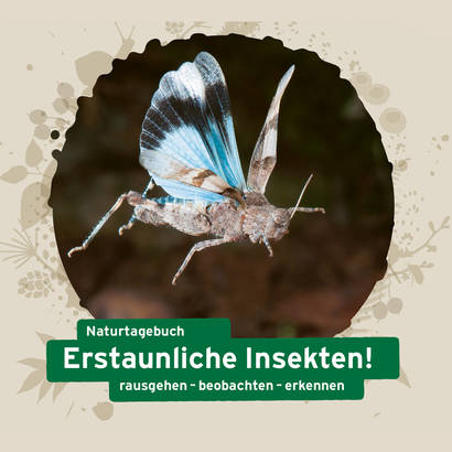 Naturtagebuch