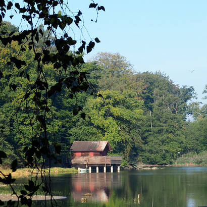 Lengwiler Weiher