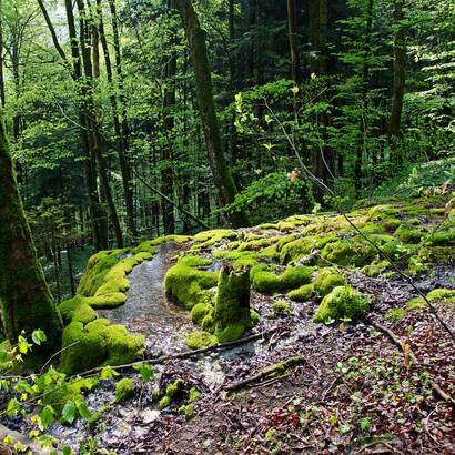 Kalksinter-Fliessquelle