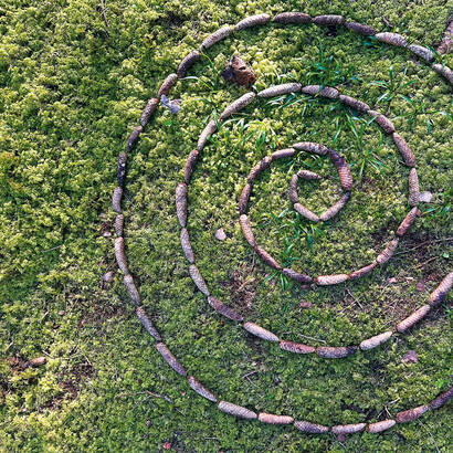 Schneckenspirale
