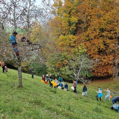 Jeunes qui recoltent des pommes