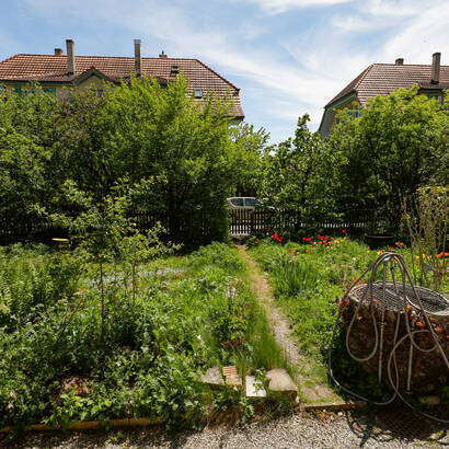 Vielfältige Gärten bieten der Hain-Schnirkelschnecke Lebensraum. Das Tier des Jahres 2025 lebt auch in Parks, Hecken, lichten Wäldern und anderen naturbelassenen Lebensräumen. © Matthias Sorg