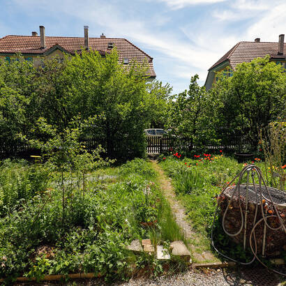 Naturnahe Gärten sind eine Oase für alle Arten von Tieren