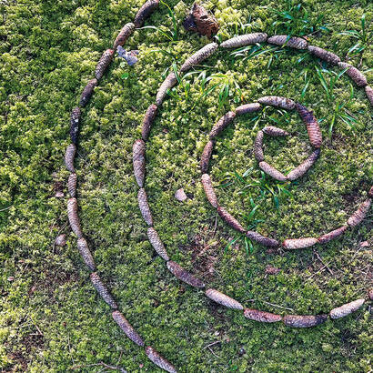 Spirale escargot