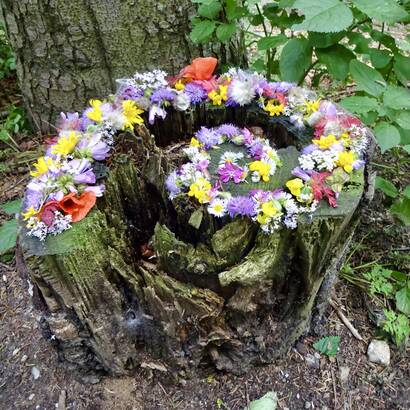 Schneckenspirale August (Name Pro Natura bekannt)