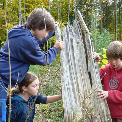 Animatura Wald