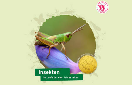 Unterrichtshilfe Insekten © Pro Natura