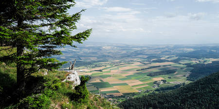 Aménagement du territoire © Matthias Sorg