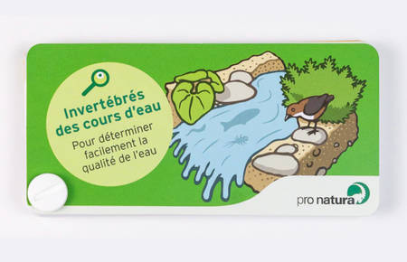 Guide de poche "Invertébrés"