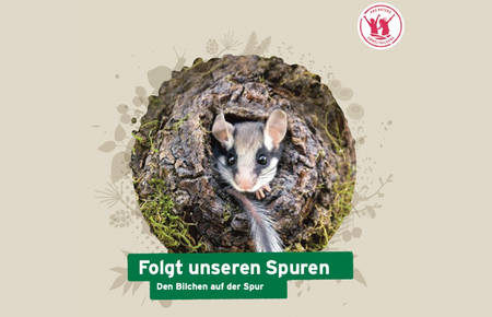 Folgt unseren Spuren Aktivitätendossier