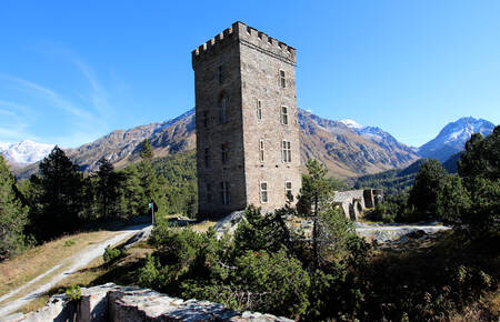 Torre Belvedere © Pro Natura