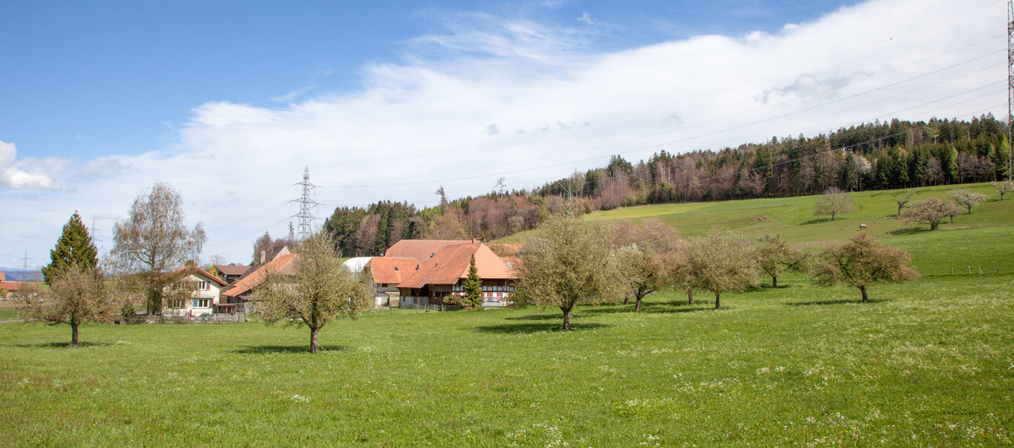 Bauernbetrieb mit Hochstammobstbäumen am Frienisberg © Matthias Sorg